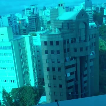 dog doesn't want to get out of bed