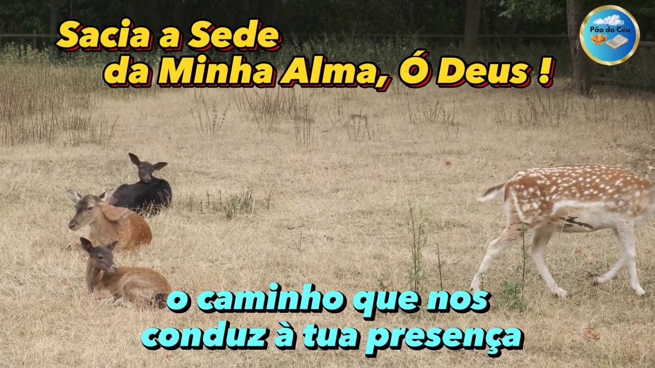 Sacia a Sede da Minha Alma, Ó Deus !