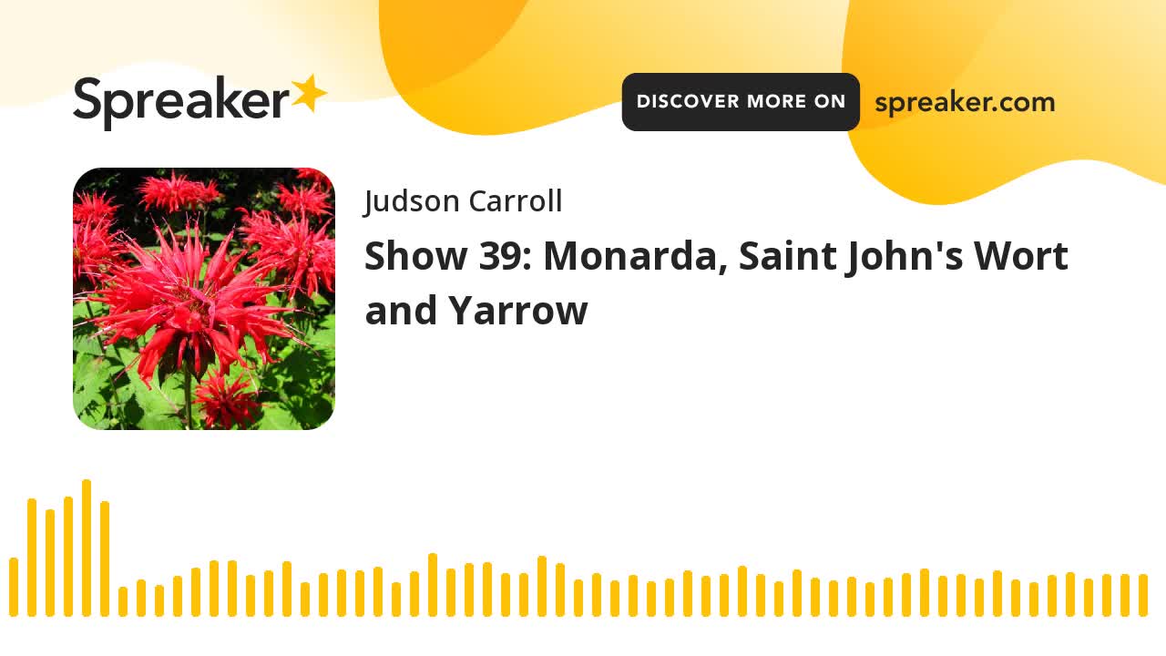 Show 39: Monarda, Saint John's Wort and Yarrow (part 1 of 3)