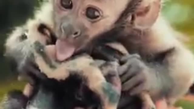 Baby Angada Cute