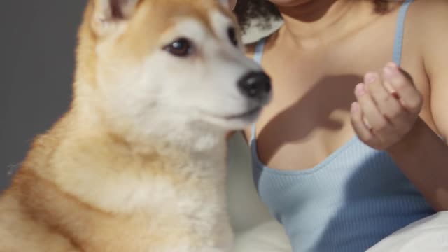 Cute Dog playing with sexy girls.