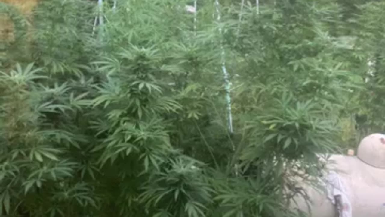 Kamala wants out & the debate about debates p 07 Derek Hunter rumble