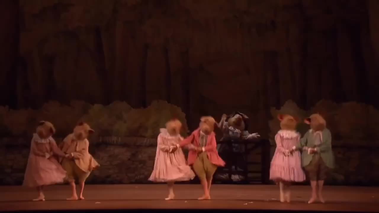 A ballet of cute animals