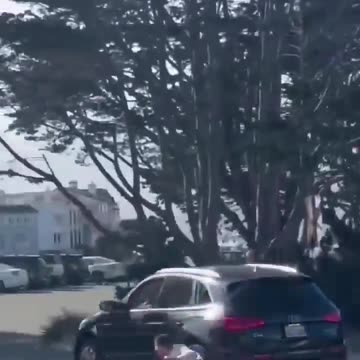 Vehicle theft in San Francisco