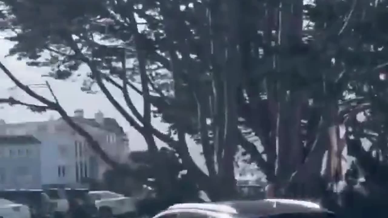 Vehicle theft in San Francisco