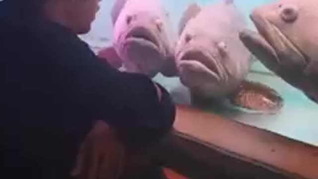 Ketika Tak Ada lg org yg mau Mendengar Curhatanmu. Ngomong sm Ikan Pun Jadi 😂