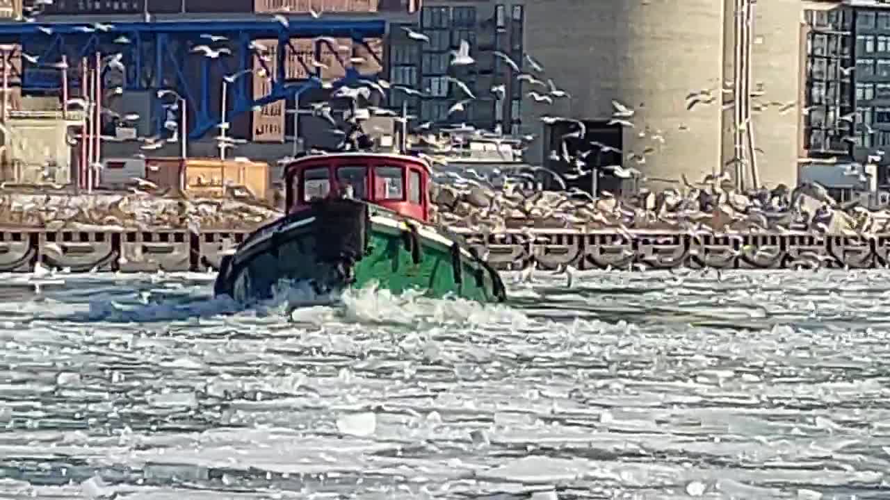 Tug Breaking Ice Cleveland 2/1/22