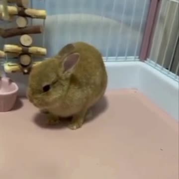 Anger management issues 🤣🤣