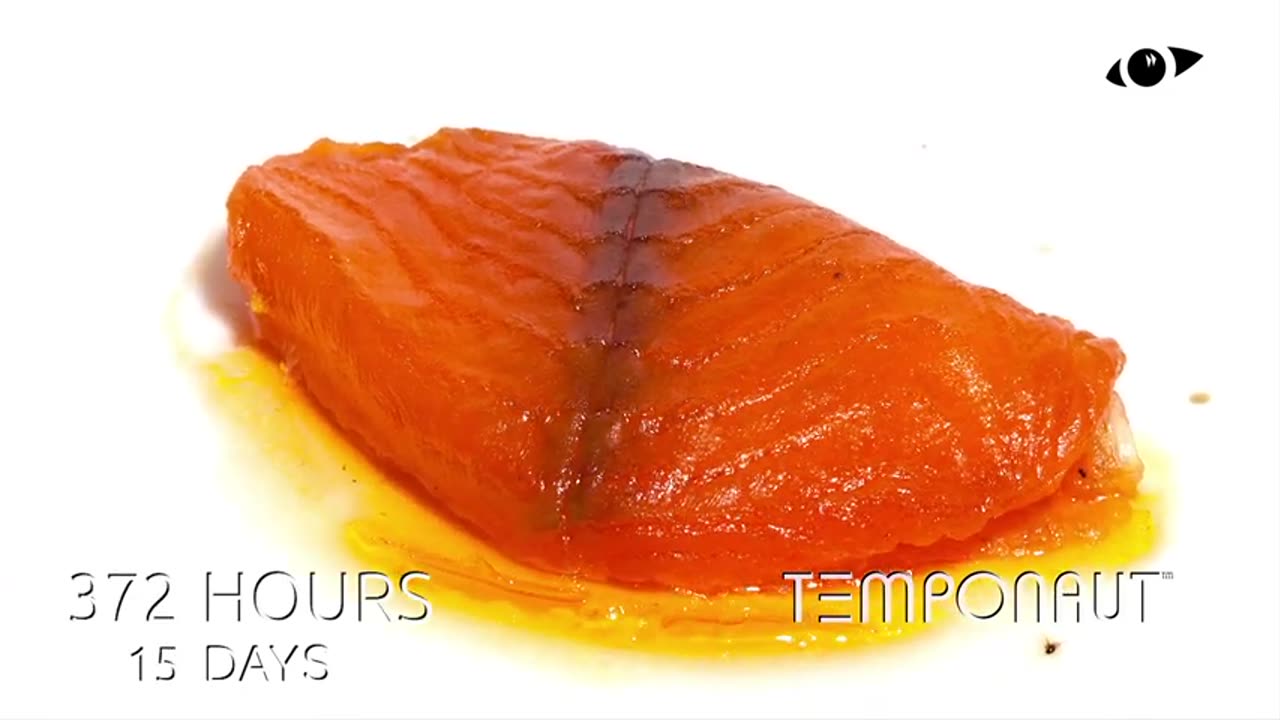 Salmon Steak Timelapse