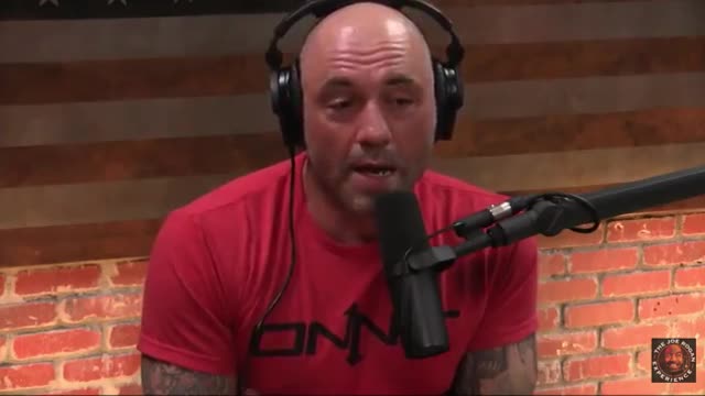 Joe Rogan Reacts to the Tommy Robinson Story