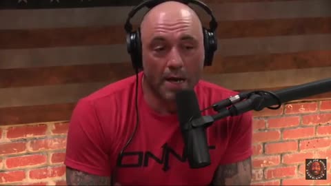 Joe Rogan Reacts to the Tommy Robinson Story