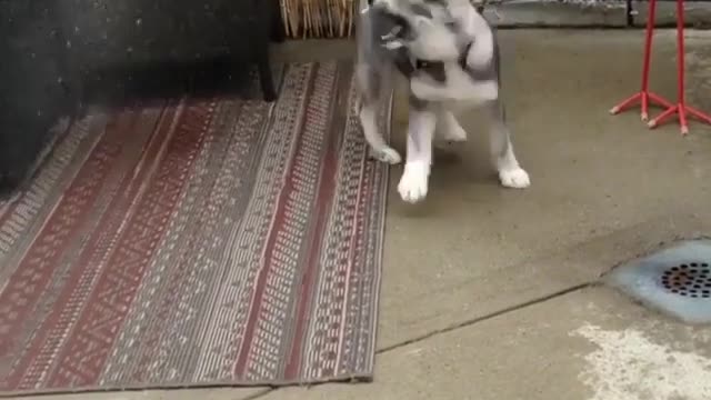 Have you ever been such a bully