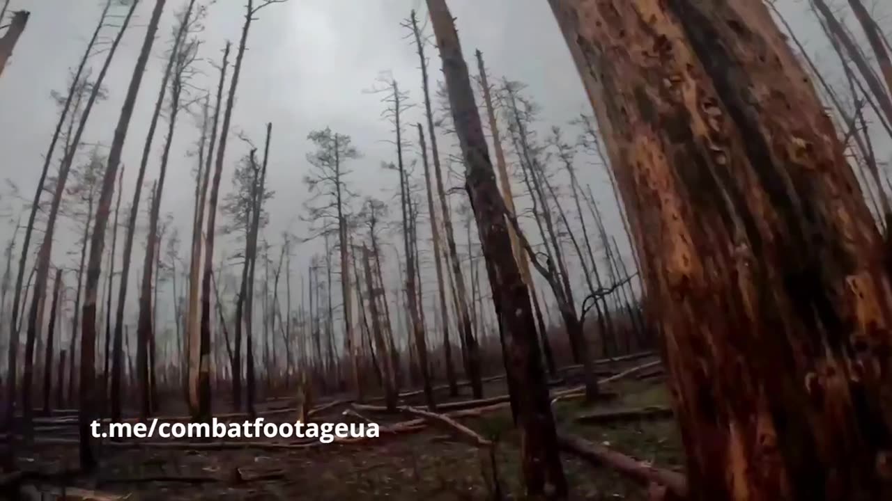 π²πΊπ¦ Ukraine Conflict | Battles with Russians in Serebryansky Forest - GoPro Footage, 12th Azov | RCF