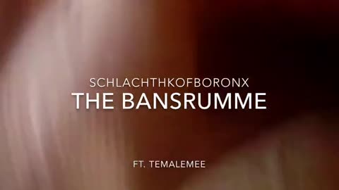 The Bansrumme - Schlachthkofobronx Ft. Temalemee