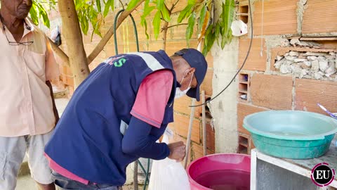 Dadis realiza intervención contra el dengue