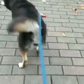 I thought it was skateboarding