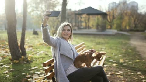 young beautiful Woman in the park with her funny long-haired chihuahua dog. Autumn background