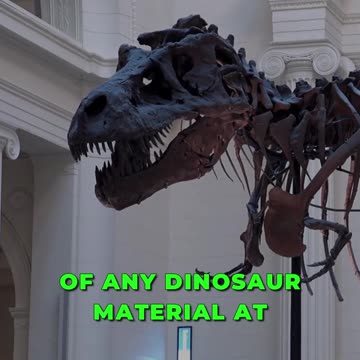 🌟 Unveiling the Secrets of Washington's Dinosaurs! 🦖