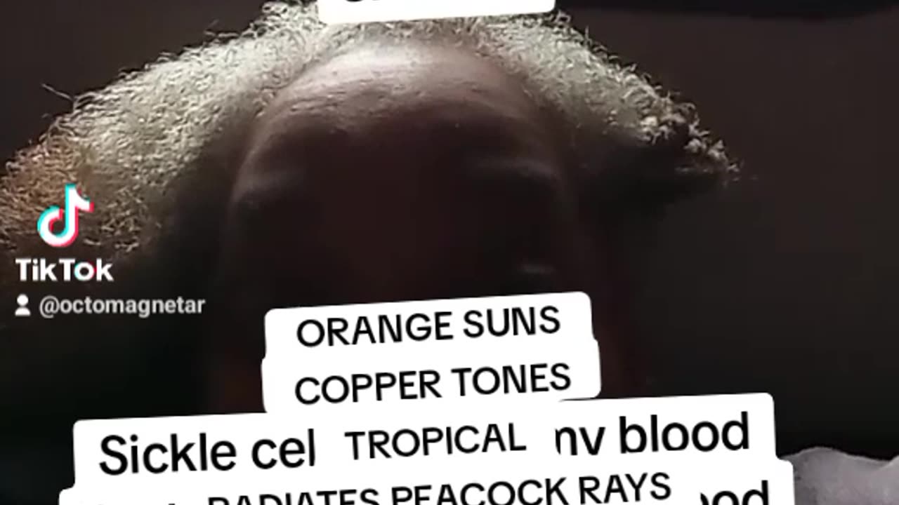 THE ORANGE SUNS SICKLE SICKLE BLOOD AKA NOMMOS