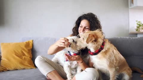 Woman with two pet dogs sitting on sofa indoors at home, resting