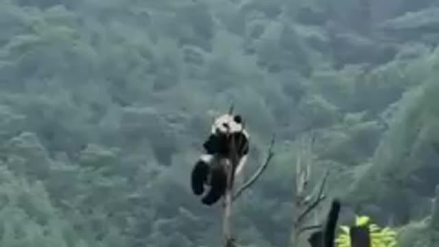 Don't trouble me