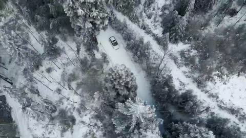 Snow scene; Forest; human culture