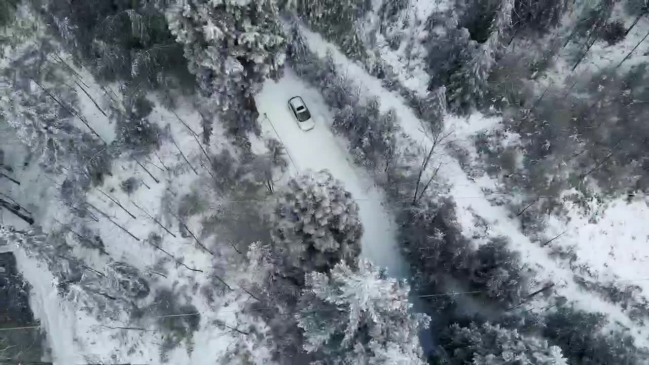 Snow scene; Forest; human culture