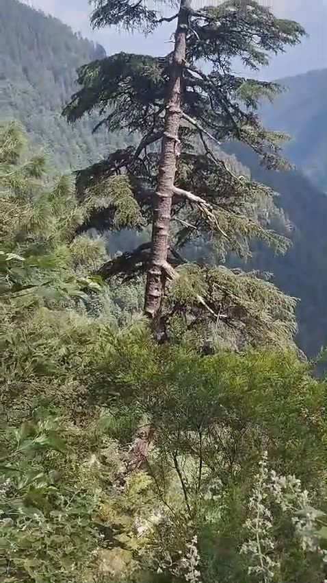 Pakistan Tour 2024-P-15