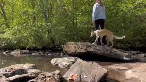 Ate some bugs, saw some deer, carried a leaf 🦋