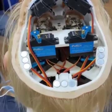 Wait to you see him turn his head