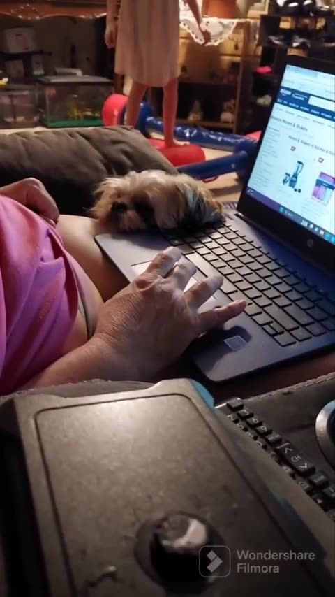 Pineal XT™ - Unlock Your Full Potential with Advanced Health Supplements BUY NOW AND SAVE