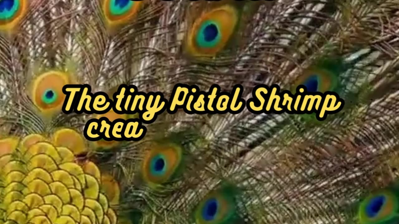 Animal Facts Pistol Shrimp Sound #shorts