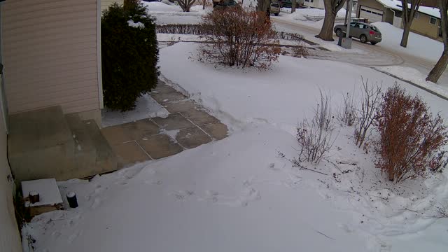 driveway security cam