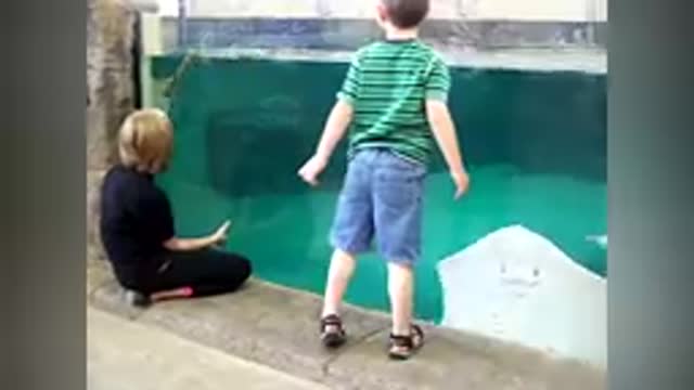 A day at the aquarium.