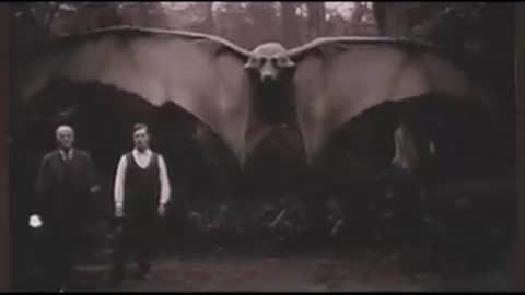 GIANT BAT