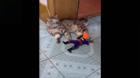 Cat got scared by toy soldier