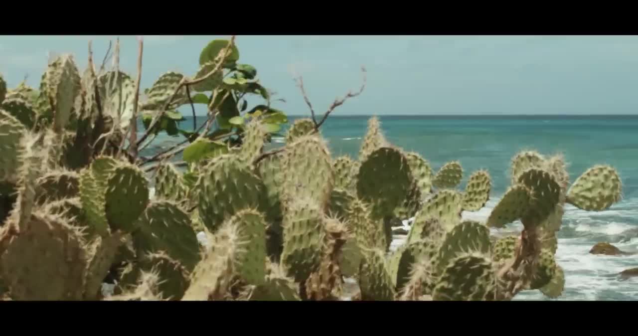 DeepSystem Hey My Love new video