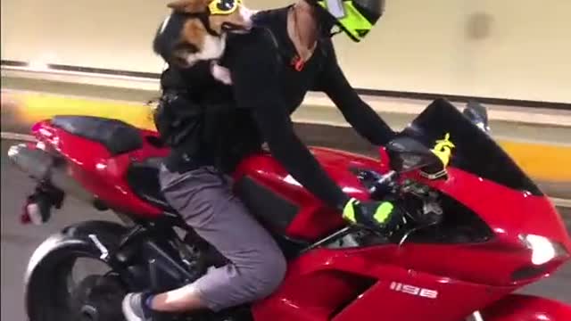 hi dad when we go on a motorcycle trip
