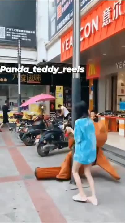 FUNNY & CUTE TEDDY -- TEDDY BEAR FUNNY LOVELY COMEDY VIDEO🐻👯