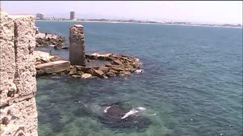 My trips to Israel and someday I will return to stay