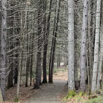 Trails end. Oh. What shall I do.?!