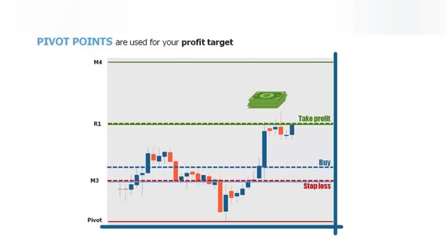 BEGINNERS GUIDE TO FOREX