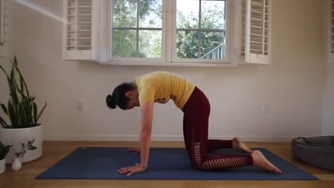 Como aprender yoga em casa Parte 2