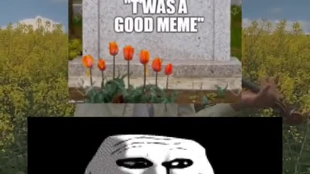 Memes with dog R.I.P😞