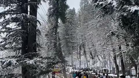 Murree in Winter