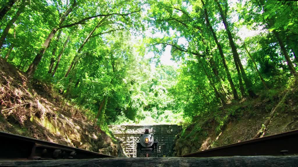 beautiful locomotive going through a tunnel in the forest