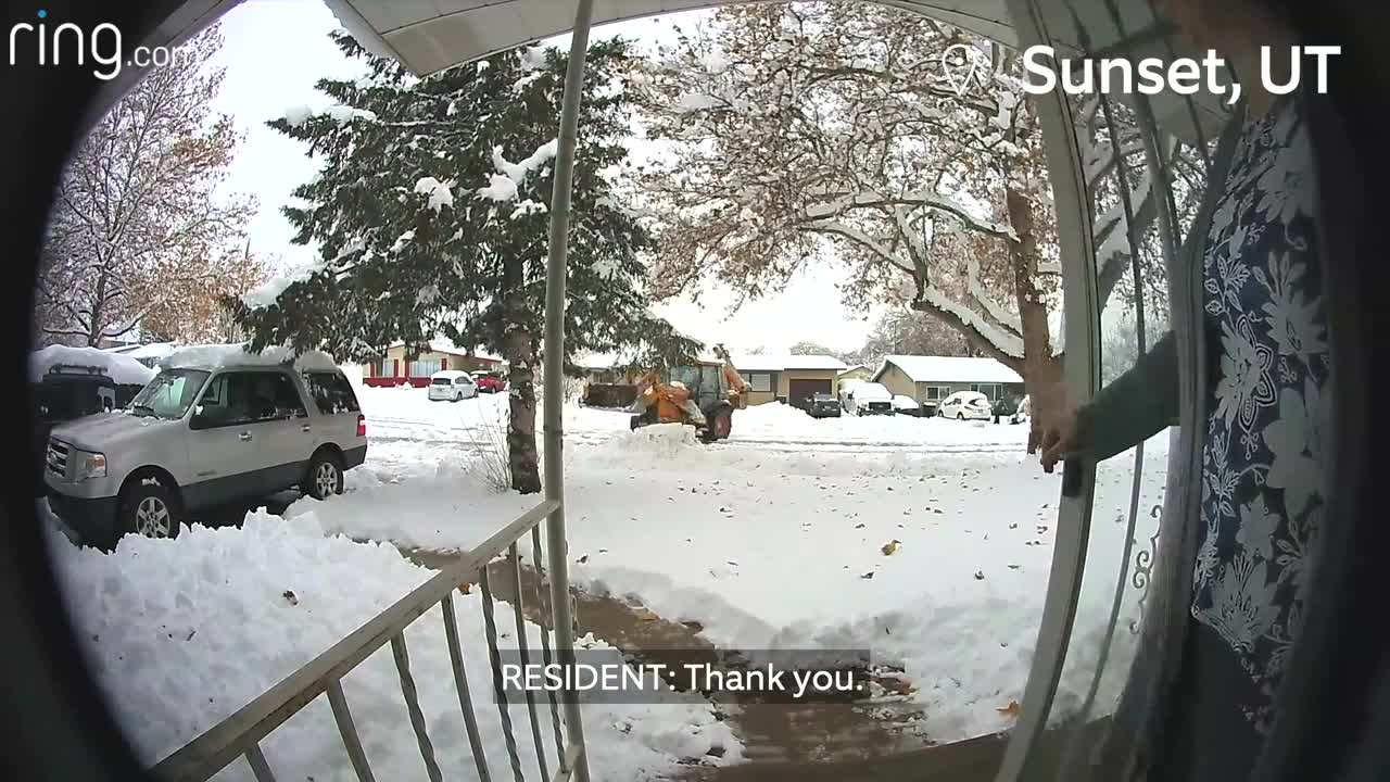 Little Girl Crosses Paths With A Bobcat & Dad Forgets Dog Outside | Neighborhood Stories