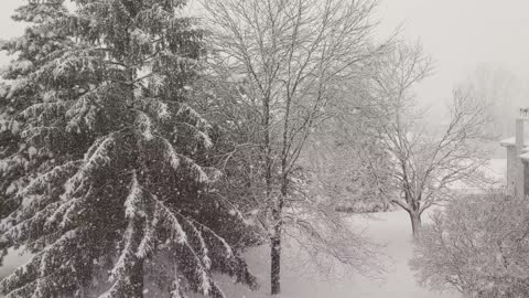 cute snowing Russia