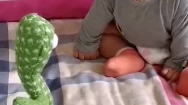 Funny videos