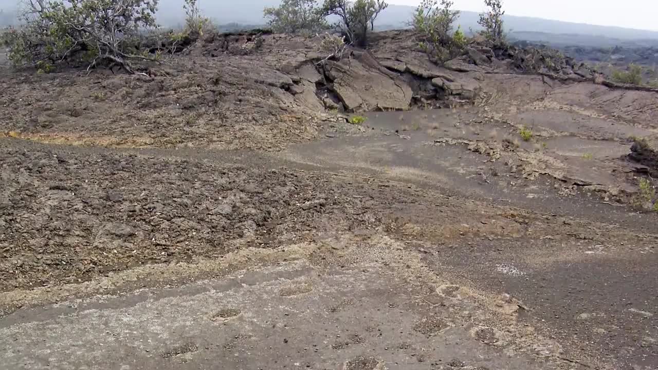 NO GEOLOGIC COLUMN: A TRILOBYTE AND A MODERN SHOE PRINT